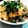ミニマフィン's cooksnap of when they made ☆簡単☆親子蕎麦.