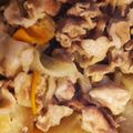 クック16WA0W☆'s cooksnap of when they made んま！居酒屋お通し風、豚肉大根煮.
