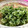 PARNELL's cooksnap of when they made 簡単！玉ねぎの青のりつゆ浸し.
