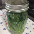 うーや♪'s cooksnap of when they made 鮮度長持ち(^-^)/ 大葉の保存方法.