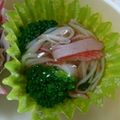 たぬたぬママ's cooksnap of when they made ★お弁当★ブロッコリーのカニカマあんかけ.