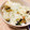 nonkapi's cooksnap of when they made 牡蠣の炊き込みご飯　ニンニク風味.