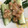 ckhkmb15's cooksnap of when they made くるみとみそのたたききゅうり.