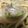 クックE8W8S2☆'s cooksnap of when they made 簡単焼うどん.