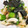 あんず7034's cooksnap of when they made ささみとオクラの梅和え.