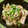 珍獣使い's cooksnap of when they made 【一人暮しのお弁当】豚こま丼.