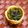 のば☀のば's cooksnap of when they made いんげんのごま和え.