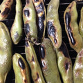 ちゃぎー's cooksnap of when they made ソラマメのおいしいゆで方.