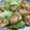 タコドラ's cooksnap of when they made とりむねと春キャベツの生姜炒め.