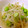 ♪まりんちゃん♪'s cooksnap of when they made 簡単・安い　もやしの漬物　ビールのつまみ.