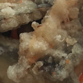 りーとぽん's cooksnap of when they made 鯵の南蛮漬け.