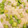 ＊にょにょん＊'s cooksnap of when they made 簡単速攻✿コンソメ風味のチーズ粥.