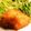 クック57W0GW☆'s cooksnap of when they made お弁当トンカツ.