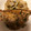 ＊yuutan＊'s cooksnap of when they made 豚のしょうが焼き.