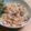 桜月❀咲良mommy's cooksnap of when they made 農園ごはん♪えびとたまごのふわふわ炒飯.