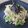 Eye candy's cooksnap of when they made 簡単・梅ゆかりパスタ.