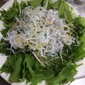 クック9P6O5D☆'s cooksnap of when they made 水菜&しらすのさっぱりサラダ☆ごま油風味.