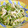 つちかな's cooksnap of when they made ハマる♡ささみと水菜と長ネギの旨辛ナムル.