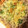 クックU44A9A☆'s cooksnap of when they made しらすと納豆の揚げピザ.