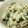 クックHLT258☆'s cooksnap of when they made ネギとシラスとほうれん草としめじ丼.