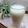 Amalka's cooksnap of when they made 簡単☆バナナスムージー.