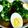クック64OY6U☆'s cooksnap of when they made コク旨大根ステーキ☆.