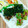 SP♪'s cooksnap of when they made 超簡単▶▶のり弁▶▶標準版.