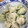 ☆ティモ☆'s cooksnap of when they made 簡単！鶏肉とアボカドの柚子胡椒あえ.