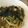 ぐぐったん's cooksnap of when they made 簡単混ぜるだけ！アボカド納豆スパ.