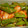 sesame1's cooksnap of when they made ししとうとちくわのピリ辛炒め☆.