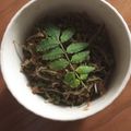 サボイ's cooksnap of when they made 手作り☆ちりめん山椒.