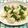 メイジももんじゃ's cooksnap of when they made やわらかトリムネ。オイスター炒め。.