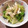 ★☆いずみ☆★'s cooksnap of when they made 簡単☆レタスの中華風お浸し.