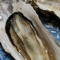やまうちさなえ's cooksnap of when they made フライパンで作る！超簡単！牡蠣の酒蒸し.