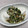 あこt's cooksnap of when they made ちょこっとだけ　山形の《だし》.