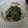 ラリー＆サラ's cooksnap of when they made お弁当に★ほうれん草とエノキのゴマ和え.