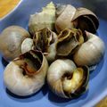 kanadoras's cooksnap of when they made ツメタガイの刺身.
