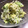 桃ringo's cooksnap of when they made アボカドとキヌアとしらすのオイル和え.