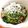 ☆糖質減らしてます☆'s cooksnap of when they made 納豆とめかぶのネバネバスプラウトサラダ♡.