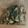 クックBNQ5PD☆'s cooksnap of when they made 冷凍きのこミックス.