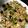 ☆あーーね☆'s cooksnap of when they made ピーマンとなすのオイスター挽き肉丼☆.