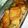 カオリンドル's cooksnap of when they made 厚揚げでヘルシー♪フライパンで豚の角煮.