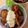 kiwi808's cooksnap of when they made ＊チキン南蛮丼＊.