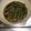 ＫＡＹ３'s cooksnap of when they made シシトウの焼き浸し.