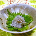 Haru Haru's cooksnap of when they made おつまみ✿生しらすをちびちび食べる方法.