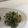 モモ520's cooksnap of when they made 簡単！ほうれん草と切り干し大根の胡麻和え.