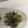モモ520's cooksnap of when they made 簡単！ほうれん草と切り干し大根の胡麻和え.