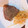 クックUXHZ5T☆'s cooksnap of when they made もやし炒め 5分.