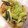 ともみ917's cooksnap of when they made 簡単☆野菜と豚肉の炒めもの♪.