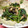 きららっち's cooksnap of when they made ＊簡単過ぎる！ほうれん草オイマヨサラダ＊.
